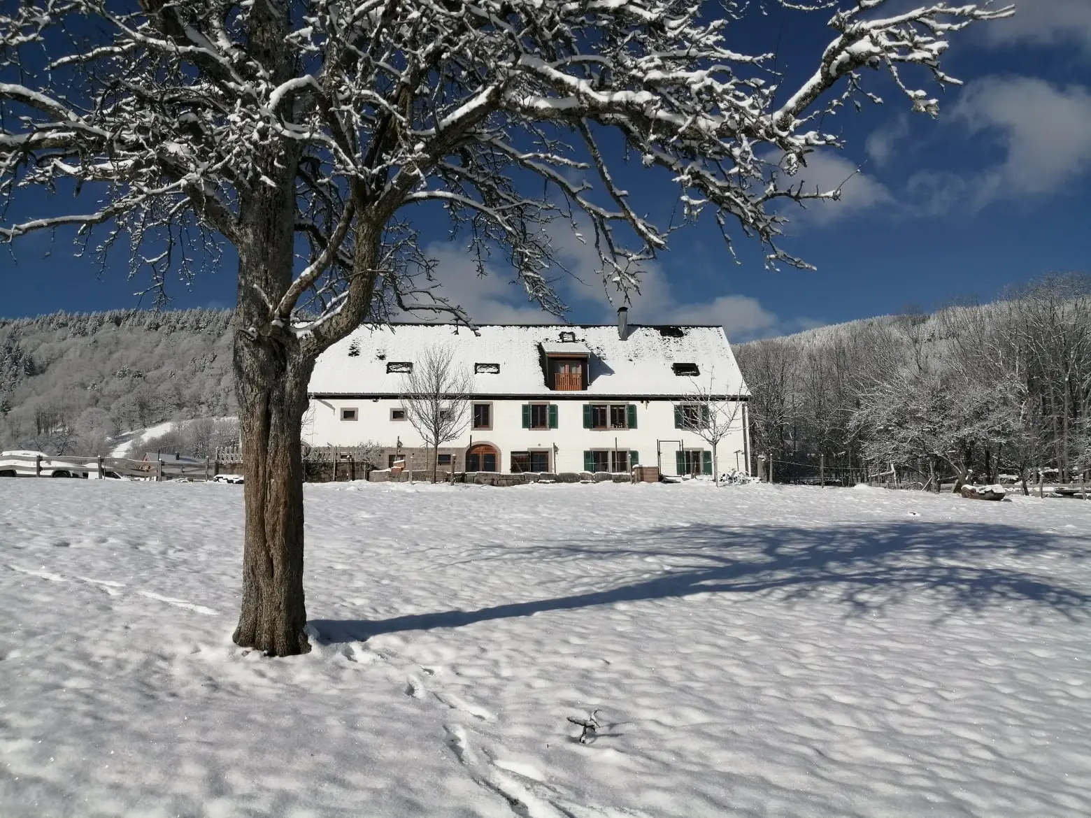 Chez Valentin, Orbey : image 3