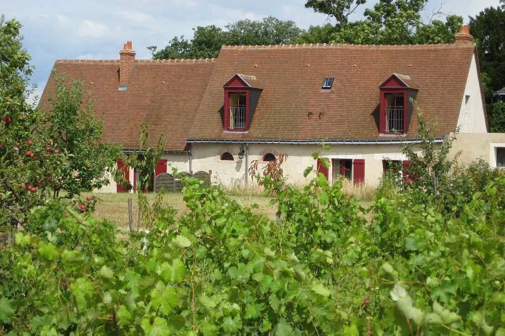 Cottage du Vigneron du Clos de la Meslerie (gîte à la ferme), Vernou-sur-Brenne