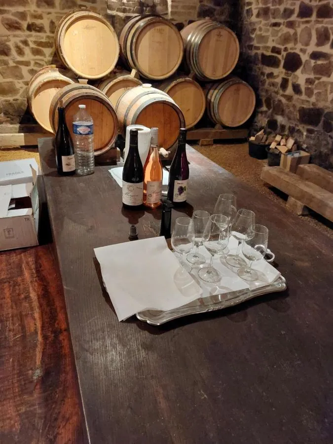 Domaine de Fond Chatonne, Villié-Morgon : image 3