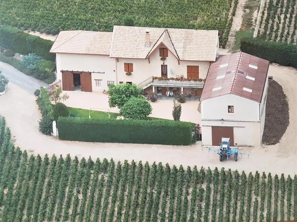 Domaine de Robert (chambre d'hôtes à la ferme), Fleurie