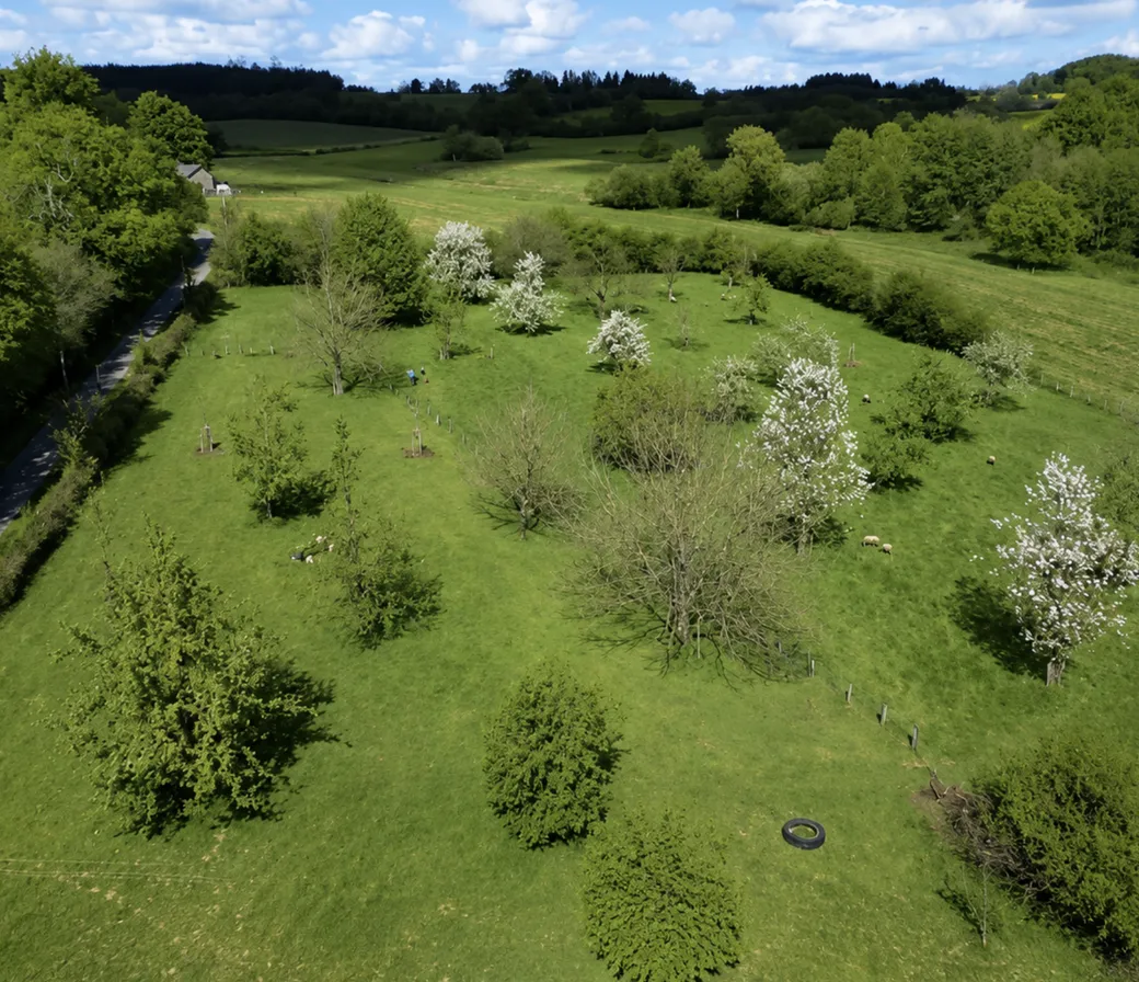 Domaine de Royères, La Roche-l'Abeille : image 2