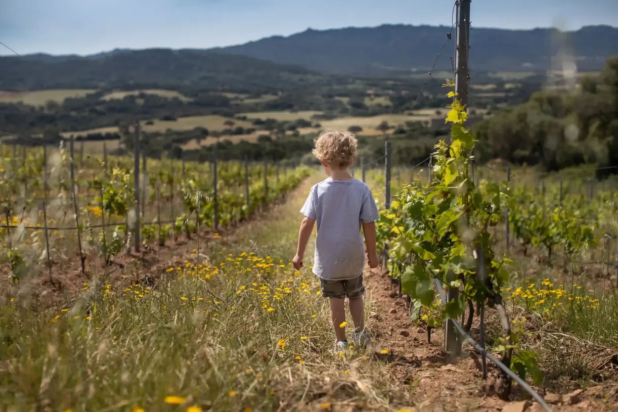 Domaine Figari Corsica (tente à la ferme), Figari