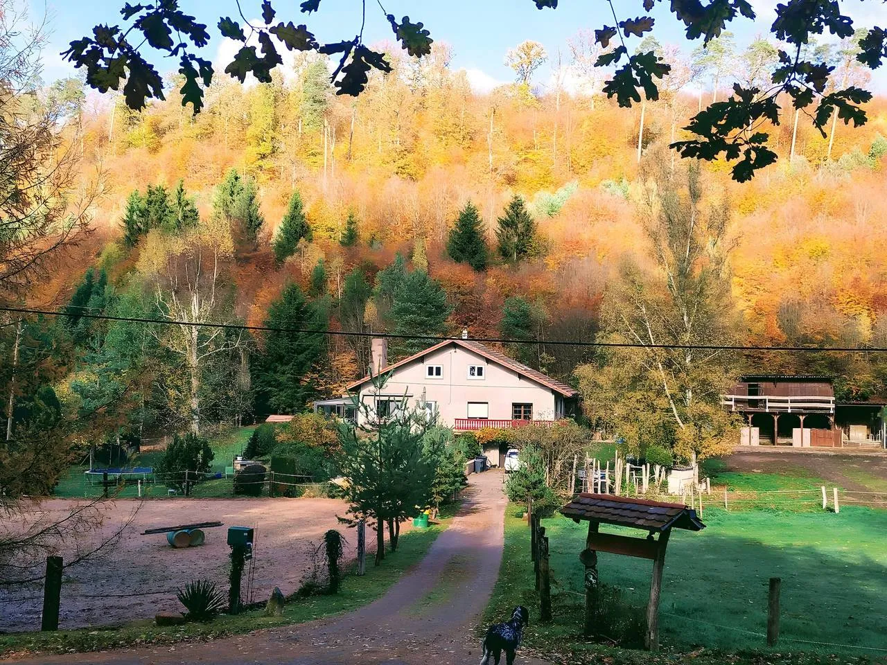 Domaine L'Échappée Verte (gîte à la ferme), Soucht