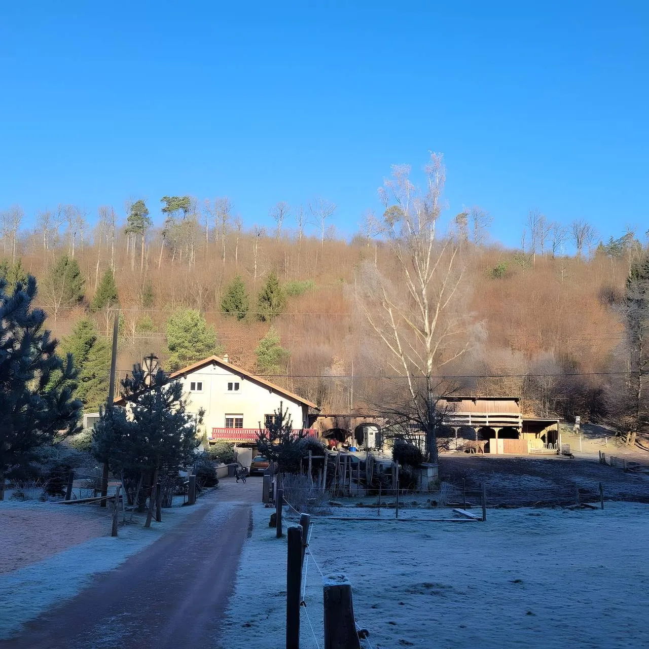 Domaine L'Échappée Verte, Soucht : image 5