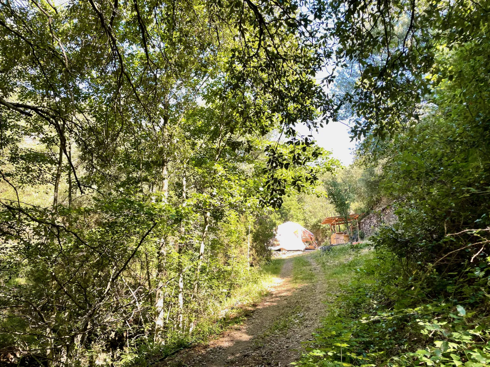 Dôme Caché dans la Nature, Prémian : image 2