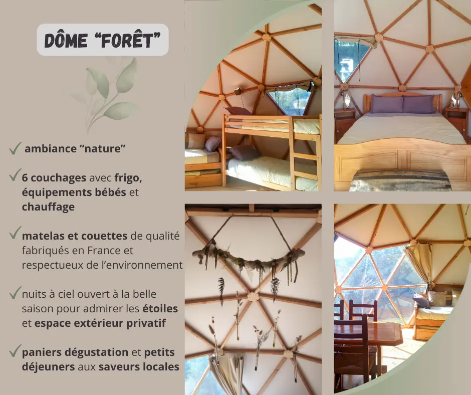 Dôme Forêt des Mush's Rooms, Belsentes : image 2