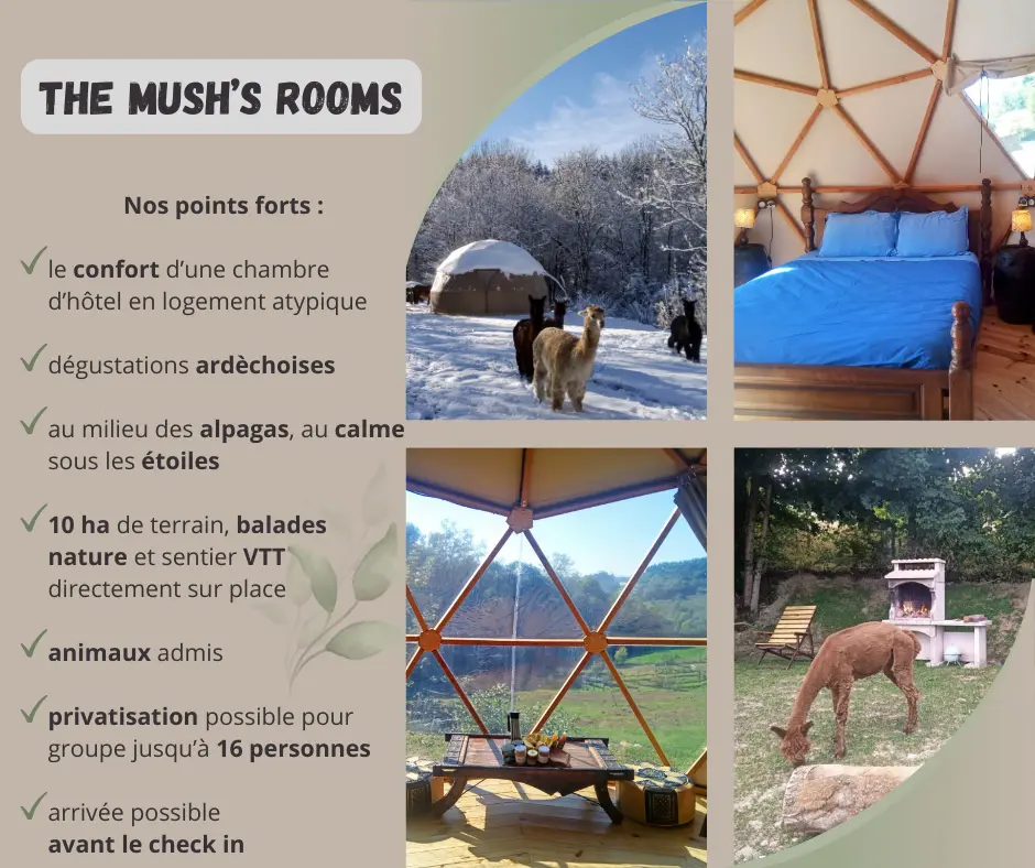 Dôme Pirate des Mush's Rooms (hébergement insolite à la ferme), Belsentes