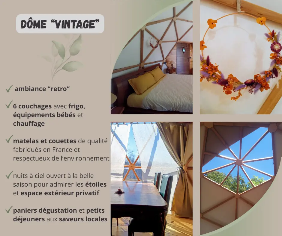 Dôme Rétro des Mush's Rooms, Belsentes : image 3