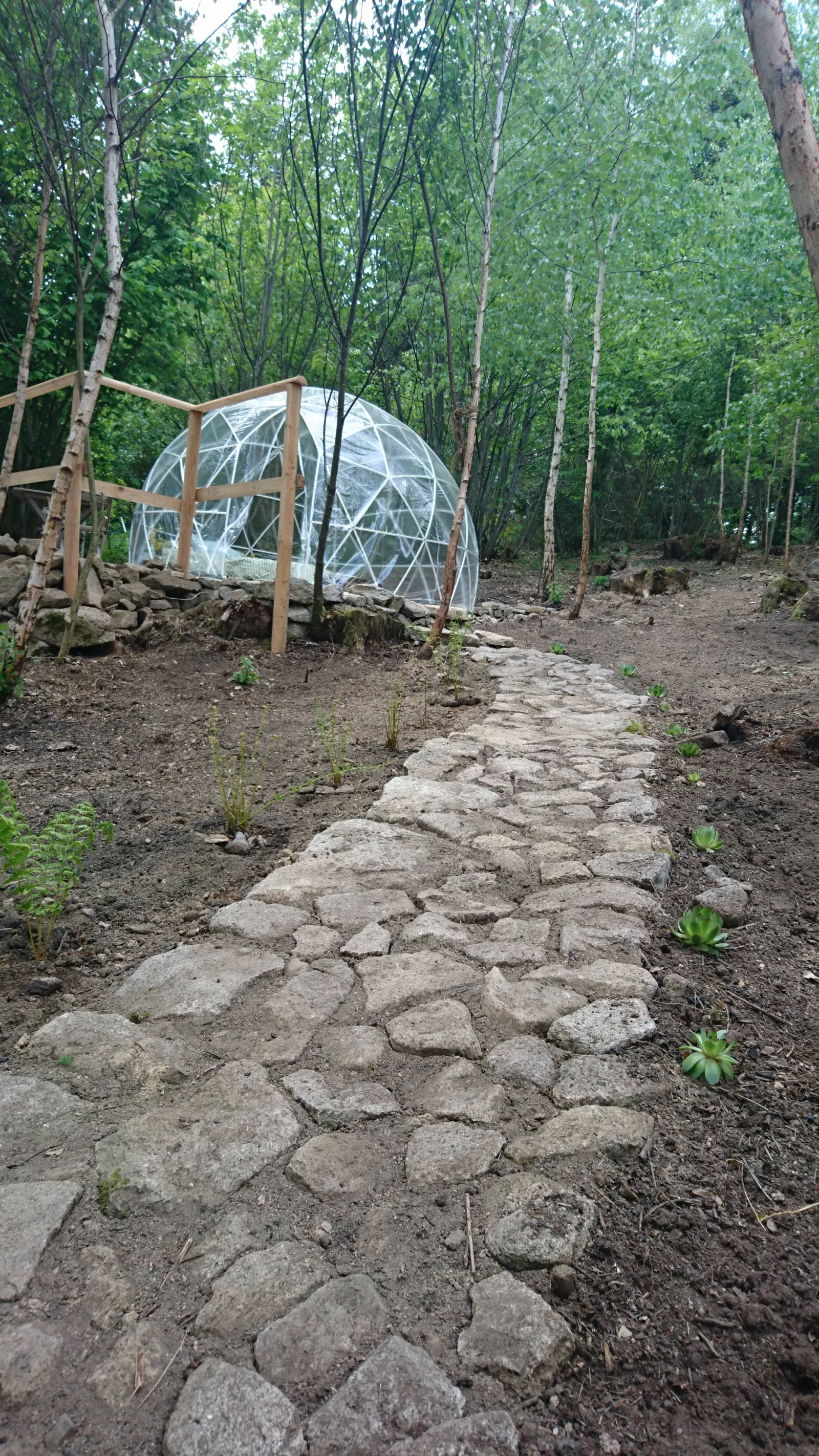 Dôme sous les Étoiles des Bois de Saint Auvent, La Geneytouse : image 2