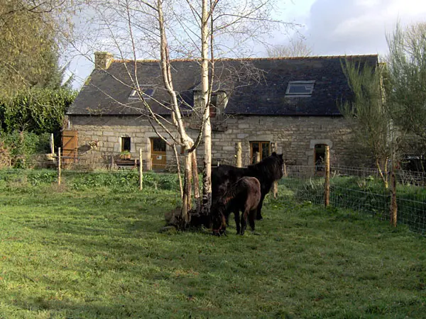 Dortoir du Domaine des Chimères (gîte à la ferme), Le Saint