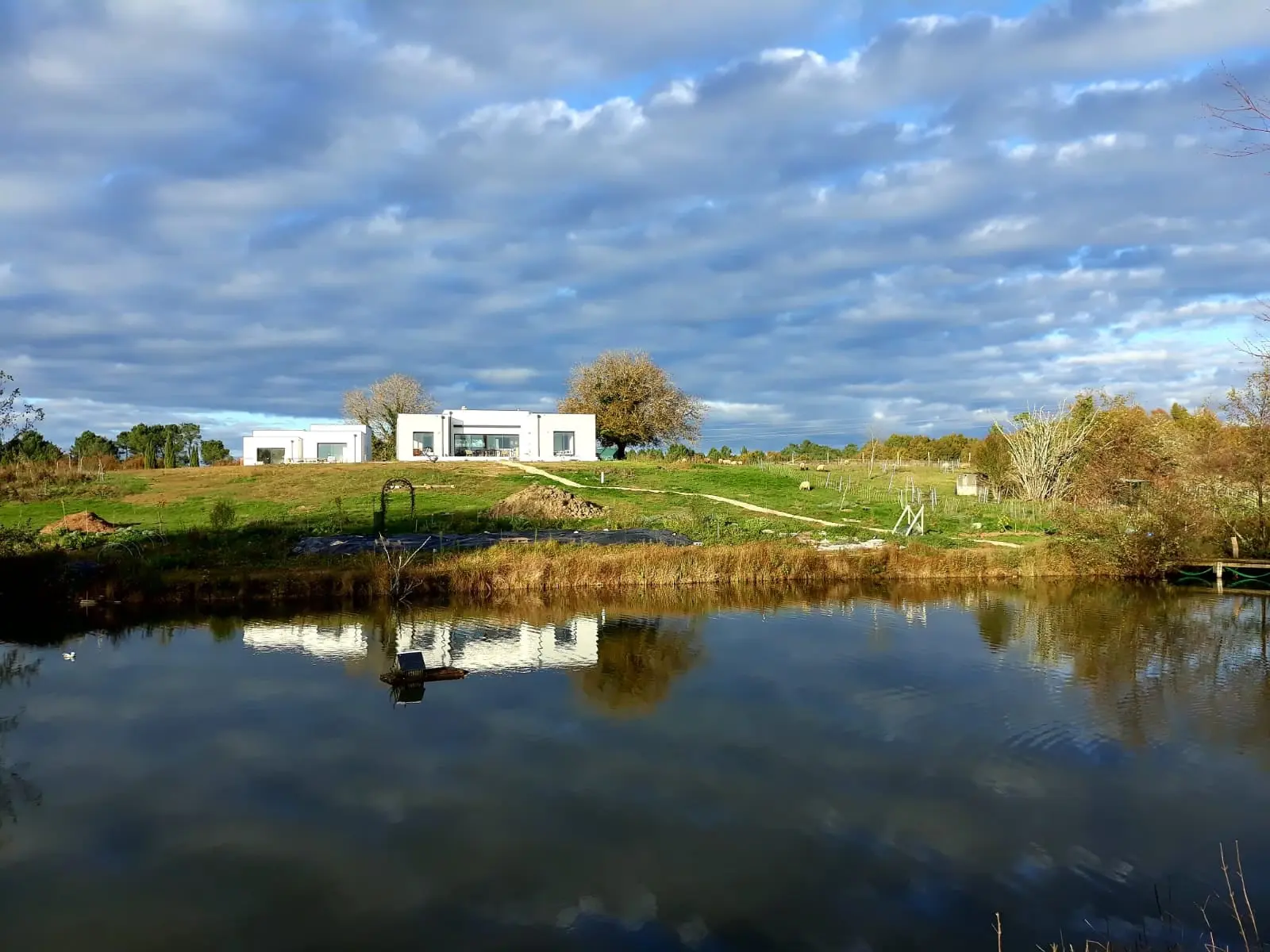 Écolodge Violette, La Clotte : image 3