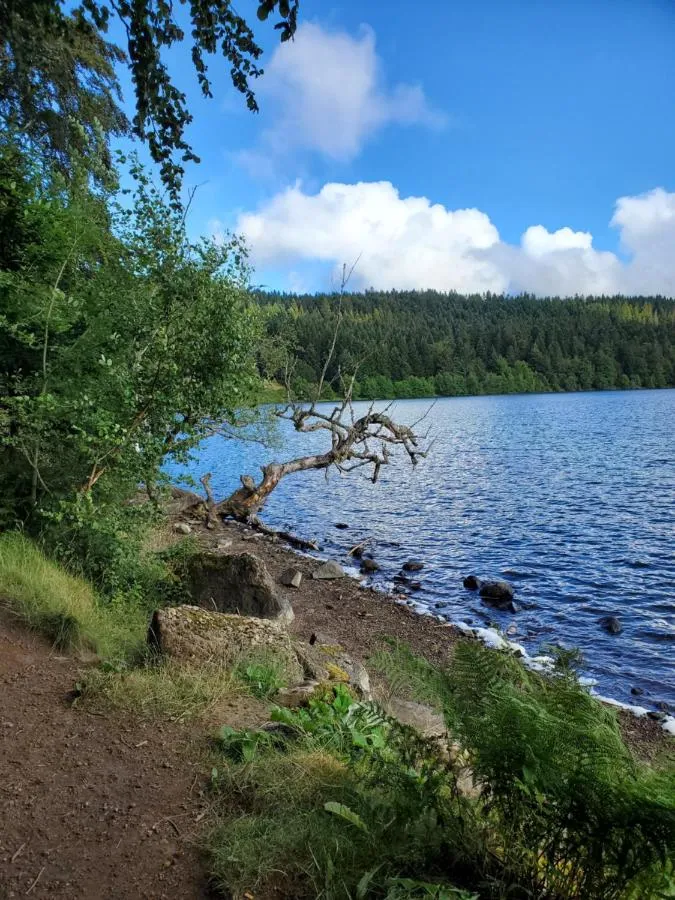 Élevage du Ténéré, Saint-Jean-Lachalm : image 5