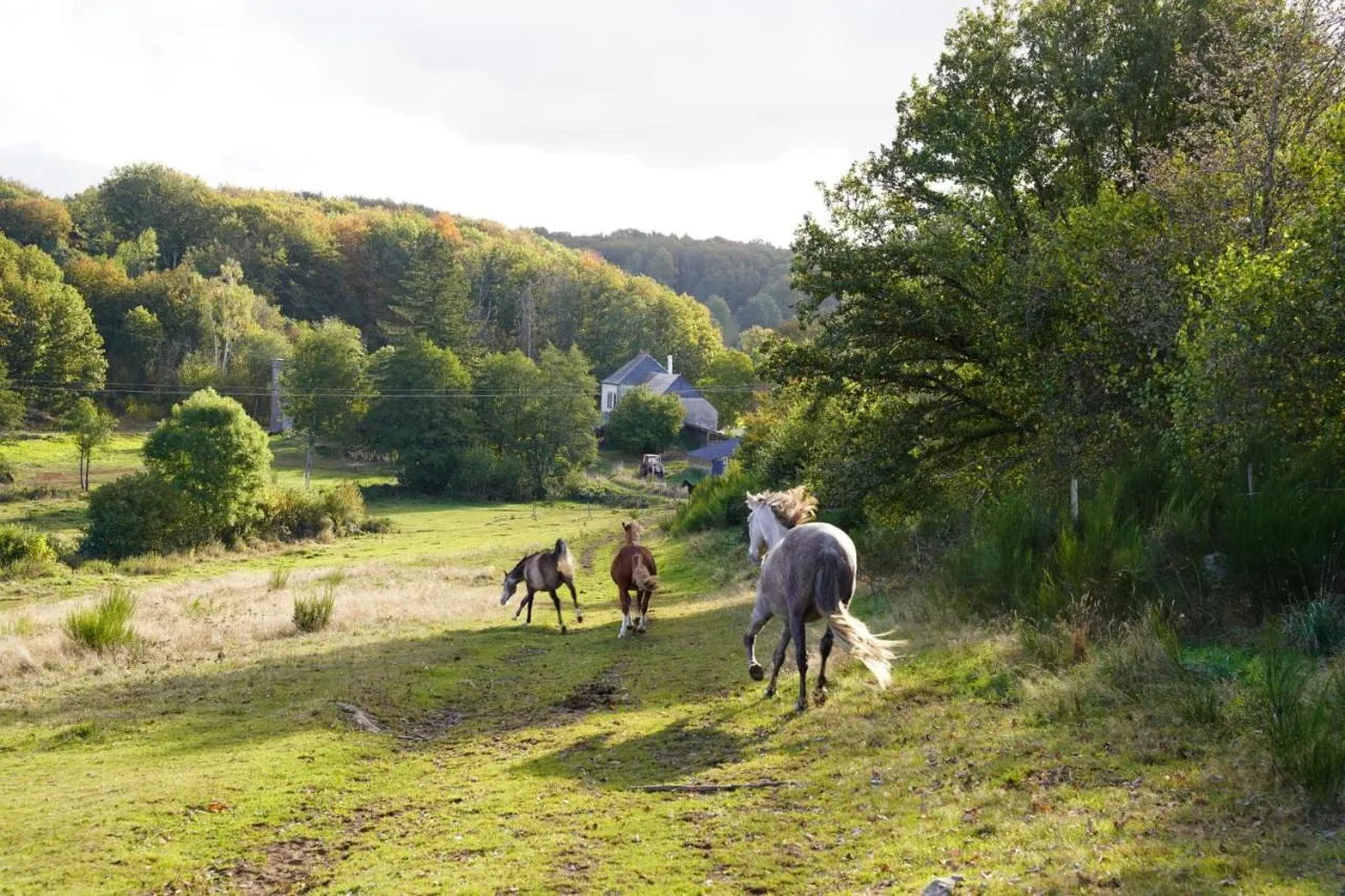 Equi'Cantal (gîte à la ferme), Montboudif