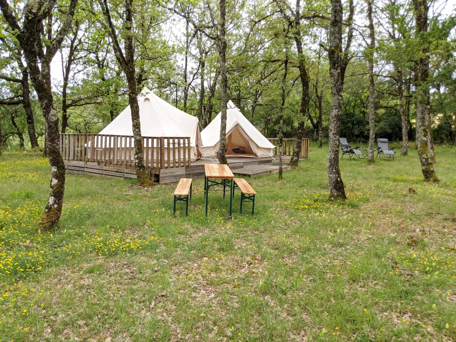 Espace Erica d'Horizon Mohair, Saint-Projet : image 4