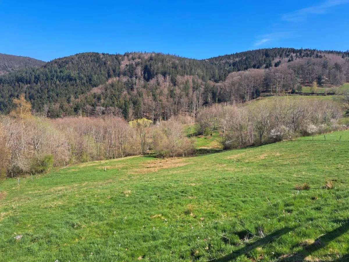 Ferme auberge des Cimes, Urbeis : image 2