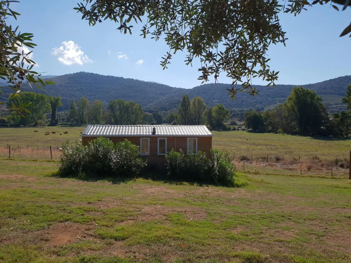 Ferme de Chiuni, Cargèse : image 3