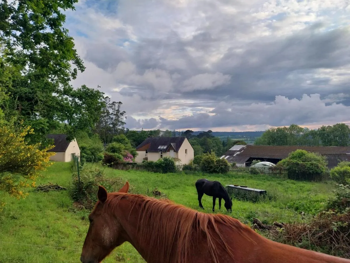 Ferme du Kastel Dinn (gîte à la ferme), Rosnoën