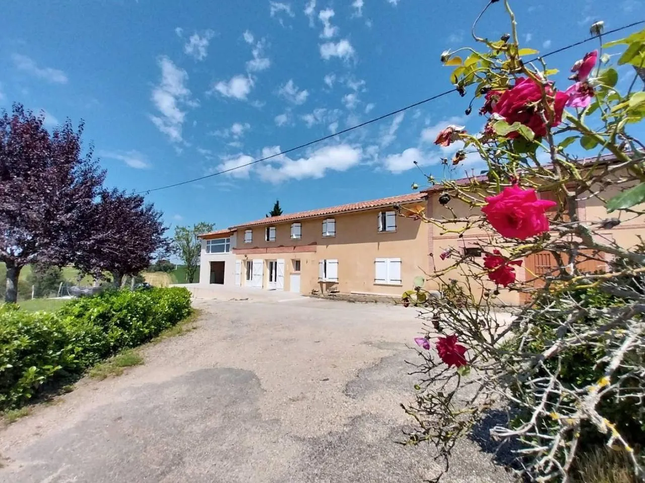 Ferme El Camillou, Azas : image 2
