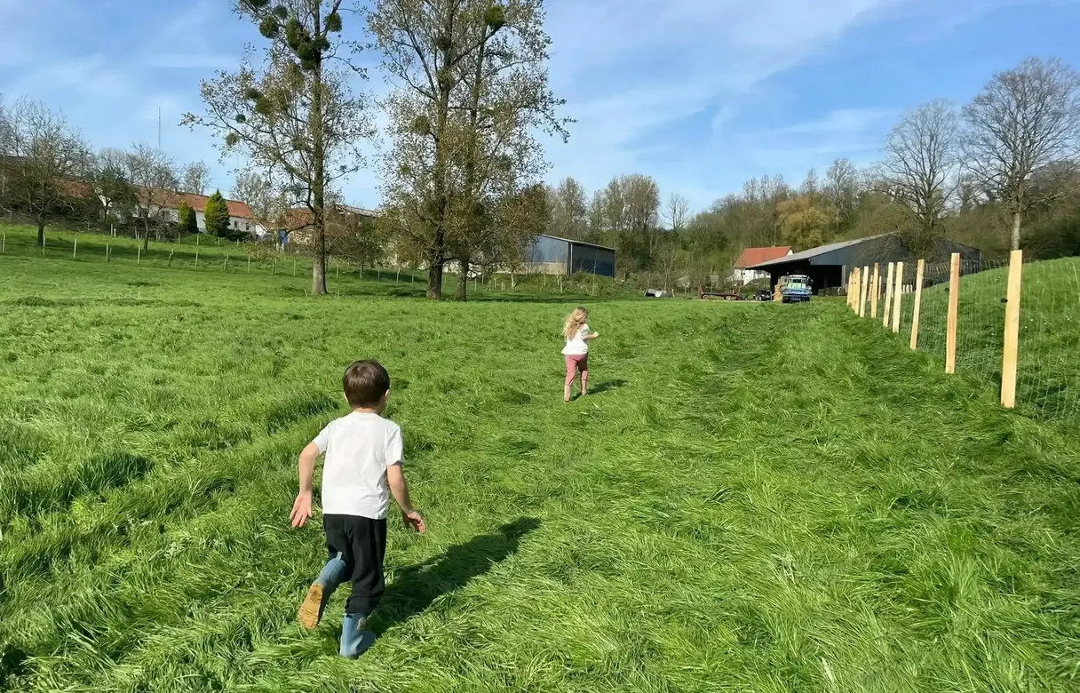 Fermette des Trois Tilleuls, Bezinghem : image 4