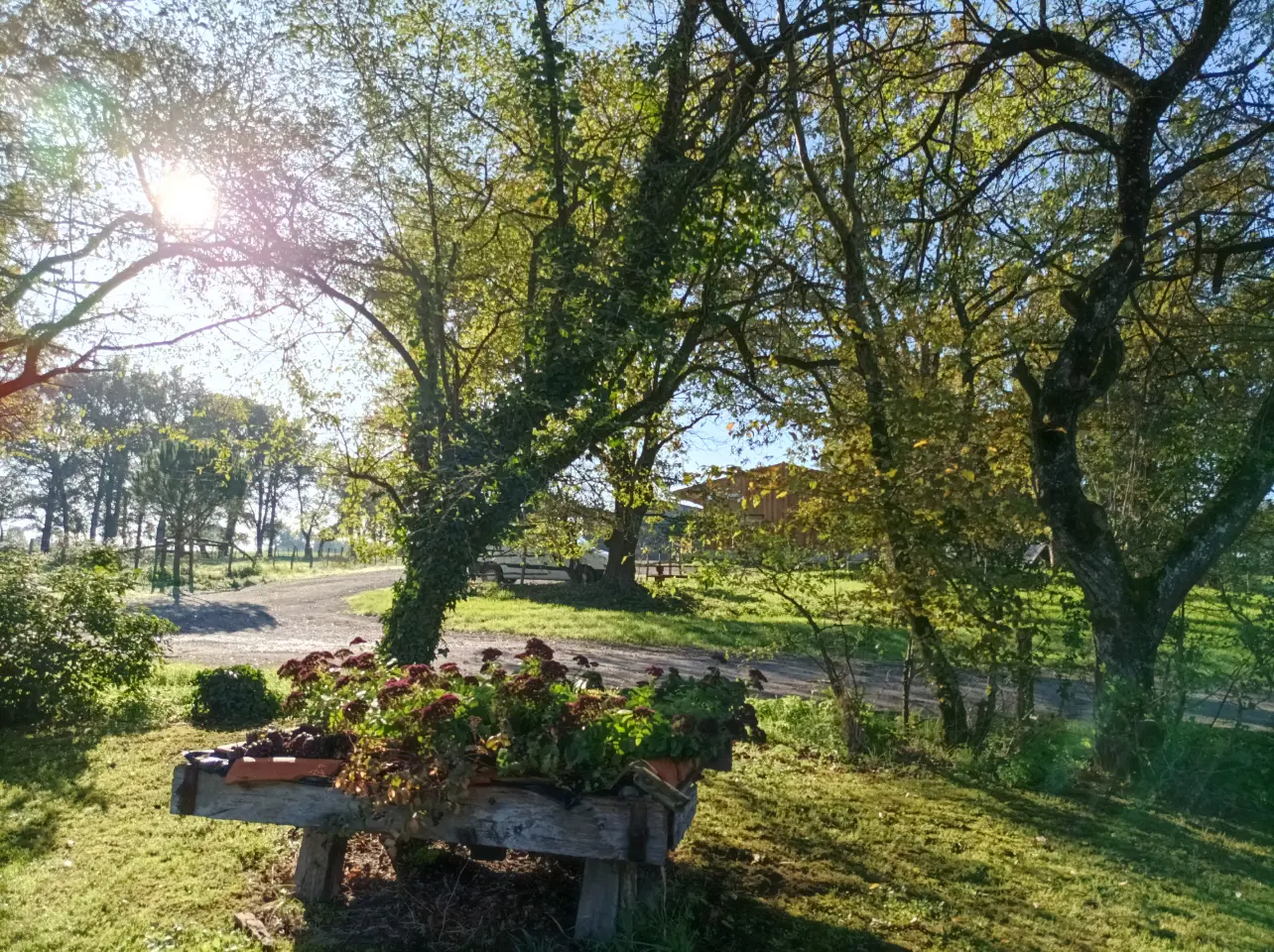 Gîte à la Ferme de Camille, Rives de l'Yon : image 3