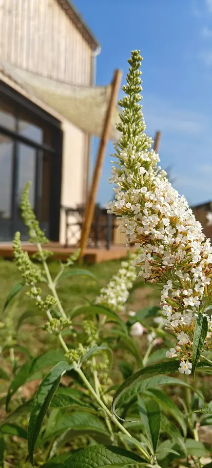 Gîte Belle Campagne, Coimères : image 5