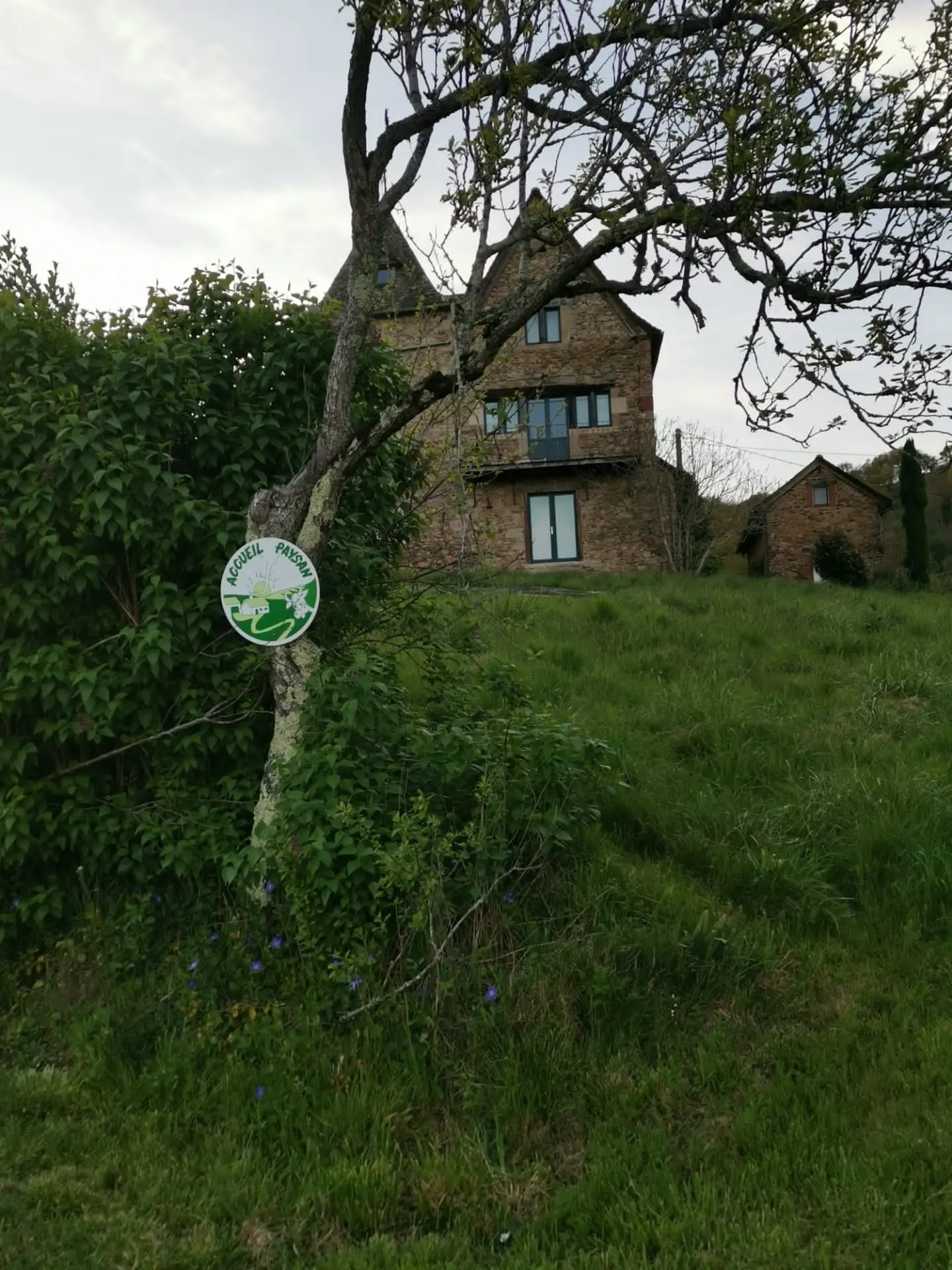 Gîte Centaurée, Firmi : image 5