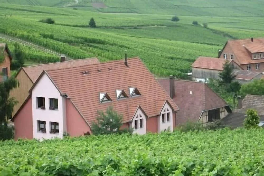 Gîte Chez Le Vigneron (gîte à la ferme), Hunawihr