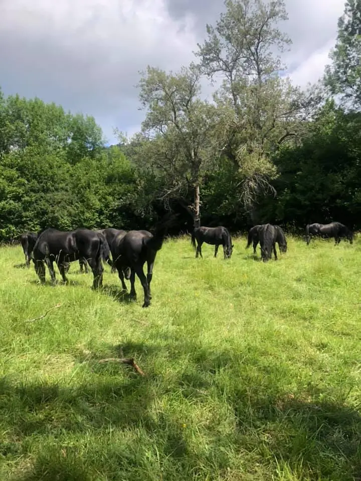 Gîte d'étape de la Ferme de Marithé, Quirbajou : image 3