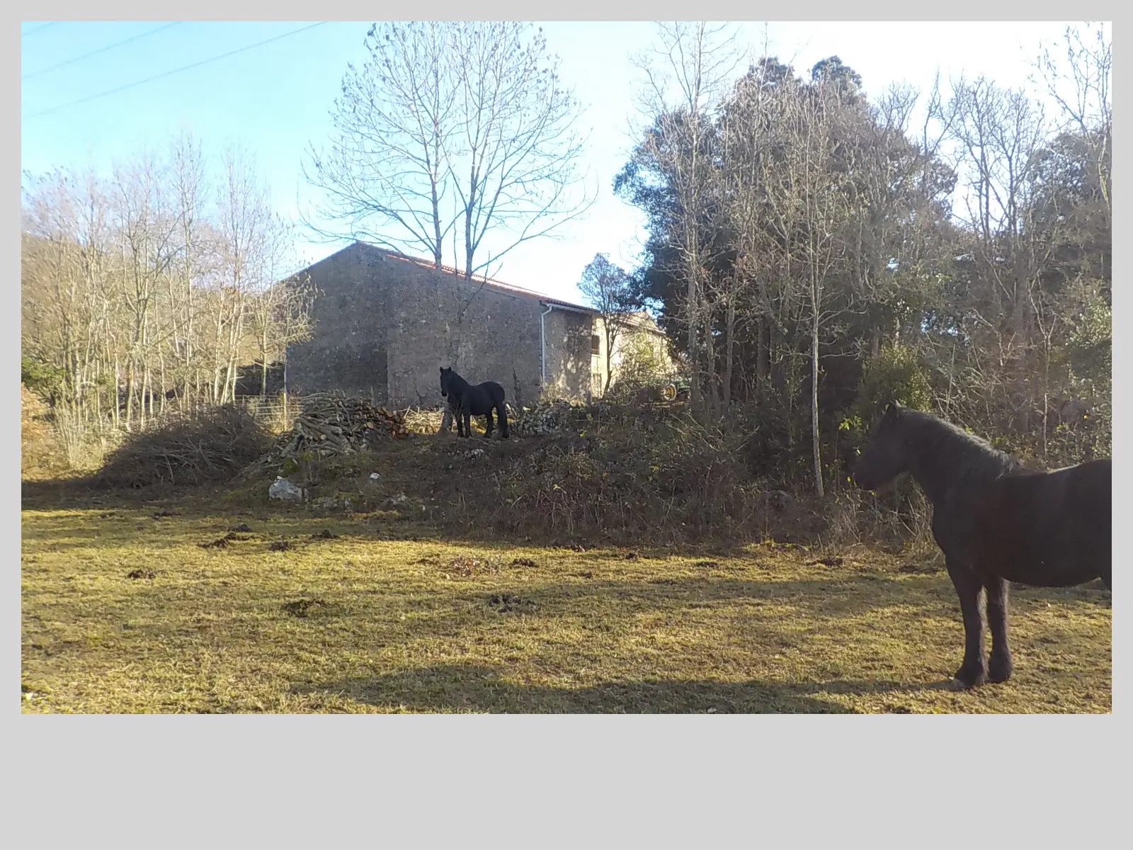 Gîte d'étape de la Ferme de Marithé, Quirbajou : image 5