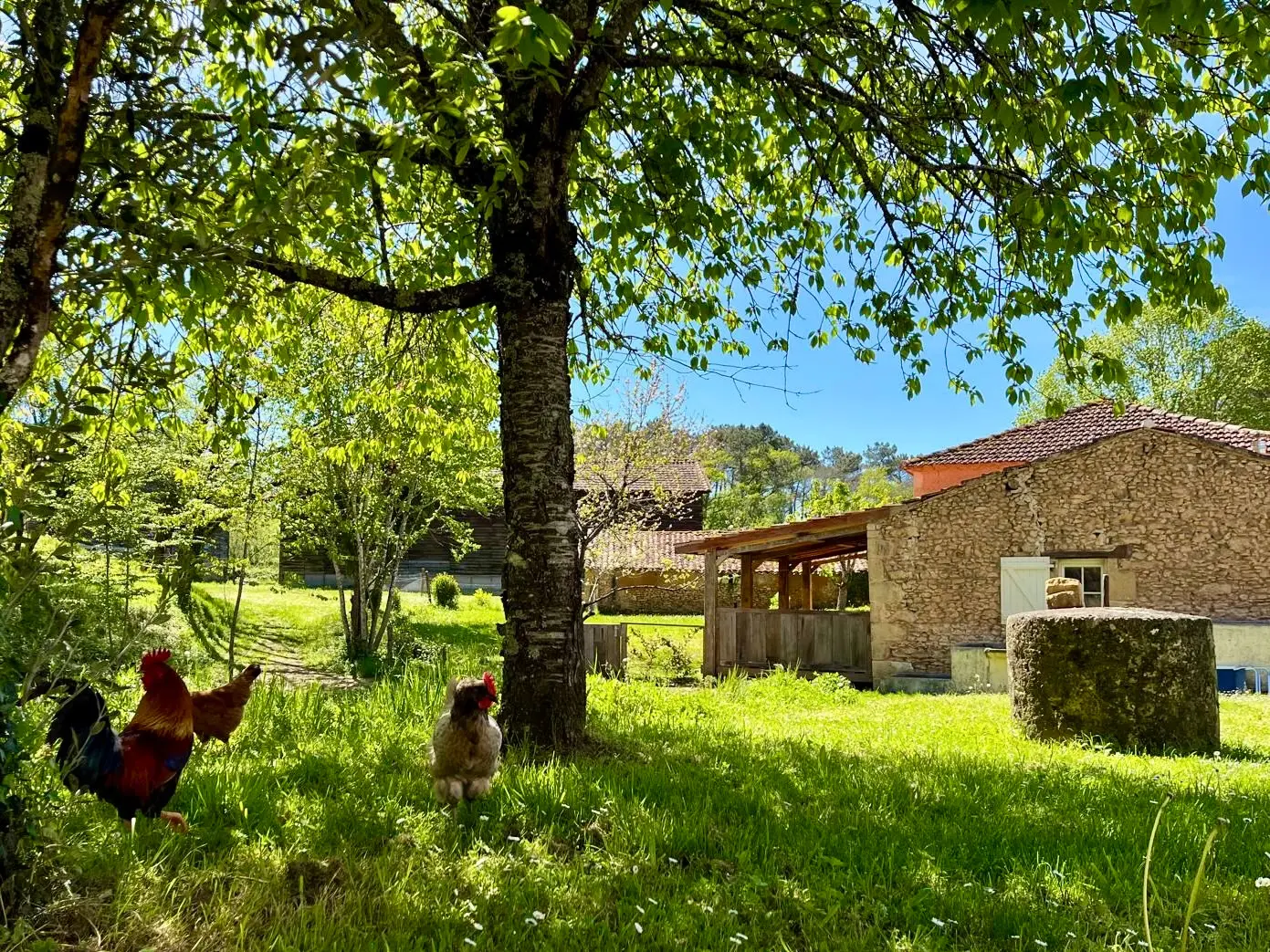 Gîte de Charme Vue sur la Vallée, Capdrot : image 2