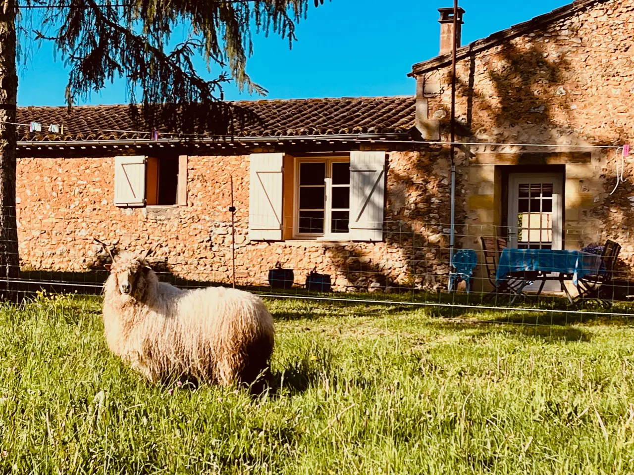 Gîte de Charme Vue sur la Vallée, Capdrot : image 3