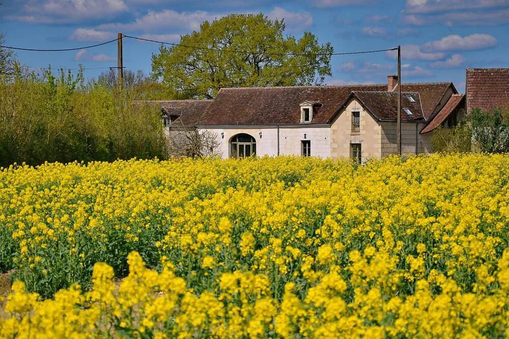 Gîte de Haute-Forêt (gîte à la ferme), Villedieu-le-Château