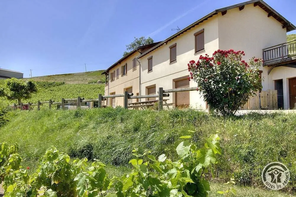 Gîte de l'Artisan-Vigneron (gîte à la ferme), Fleurie