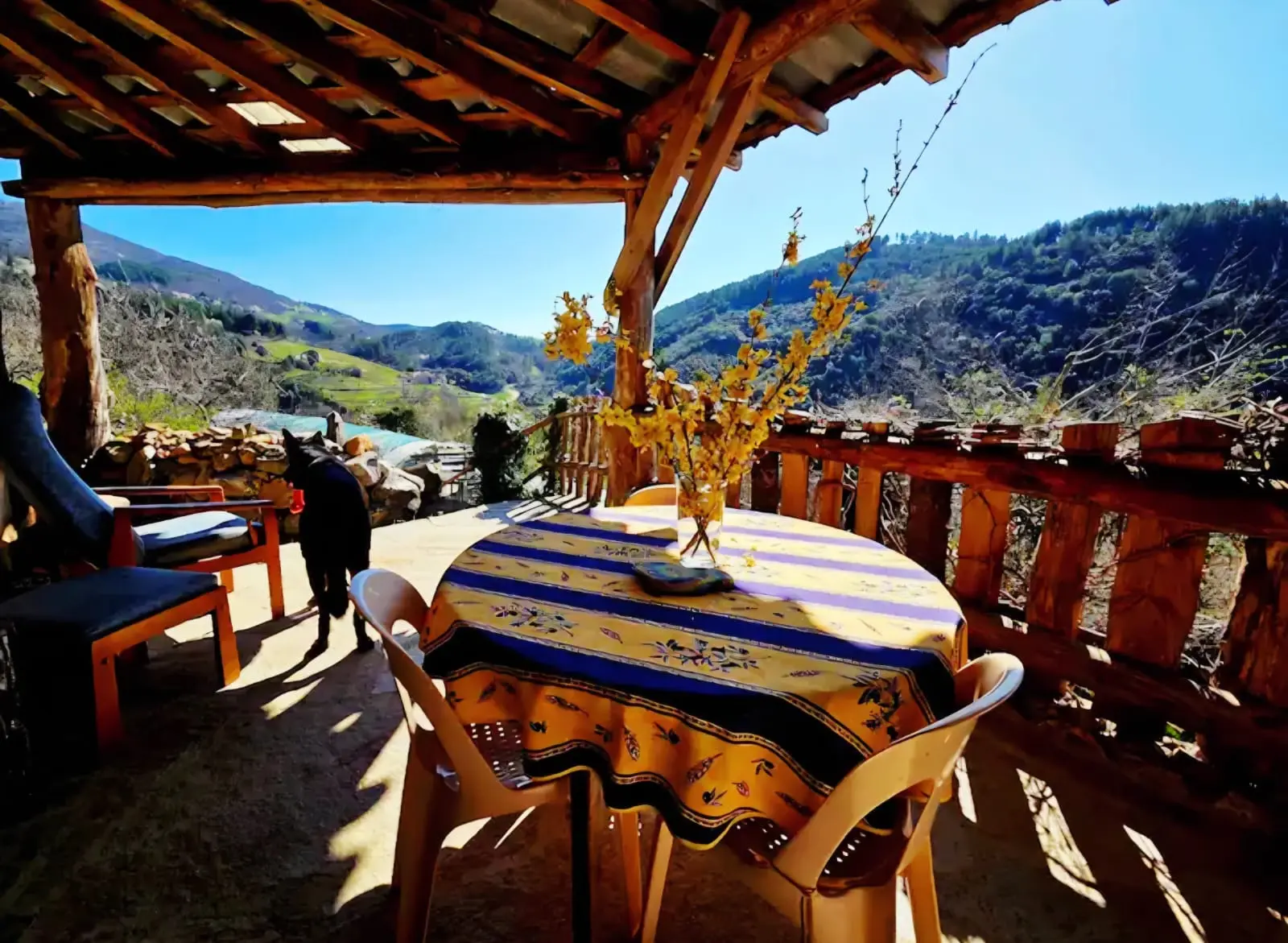 Gîte de la ferme bio des Cévennes ardéchoises, Rocles : image 2