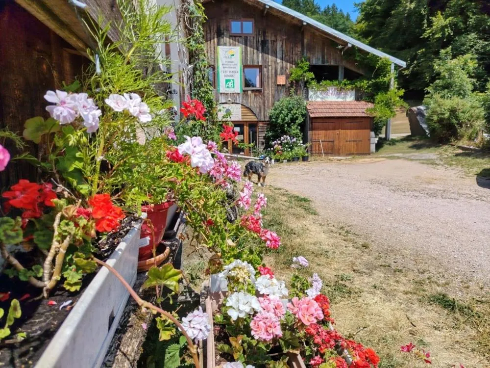 Gîte de la Ferme de Bonnefontaine (gîte à la ferme), Le Tholy