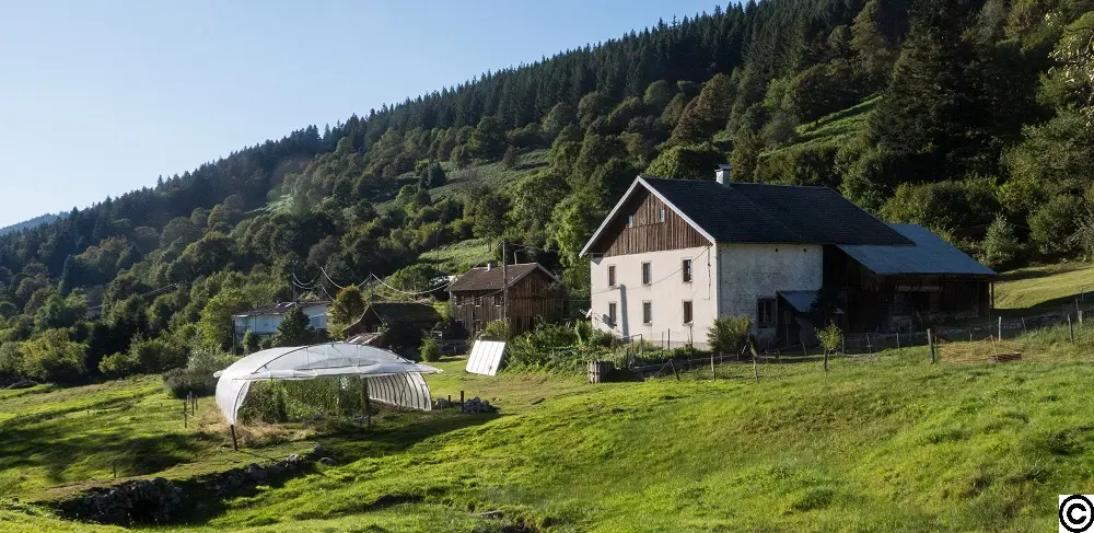 Gîte de Prés en Bulles (gîte à la ferme), Sapois
