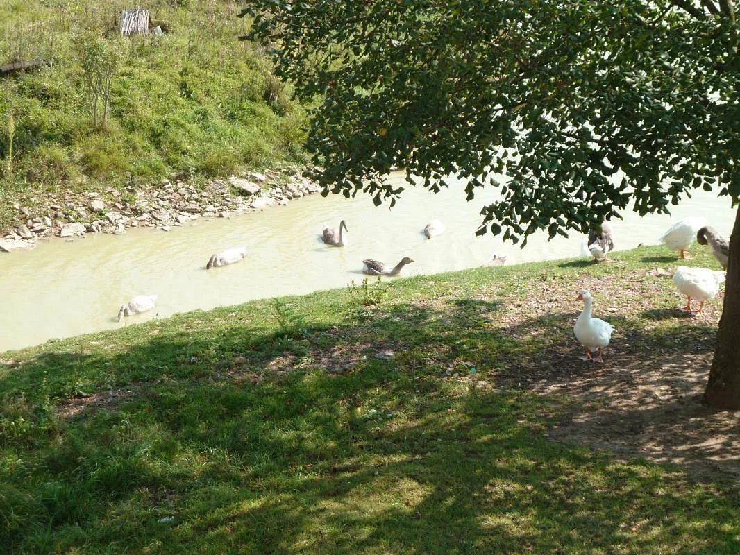 Gîte de la Ferme, Mâcon : image 3
