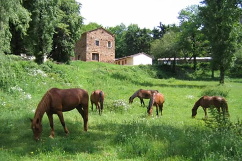 Gîte de la ferme équestre, Mont-Roc : image 5