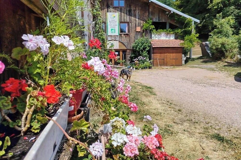 Gîte de la ferme du Tholy (gîte à la ferme), Le Tholy