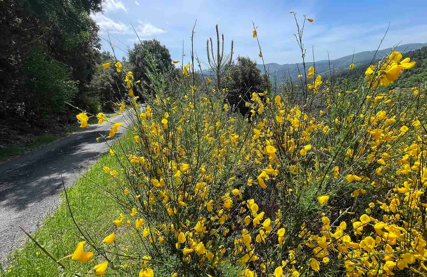 Gîte de Liou, Ventalon en Cévennes : image 5