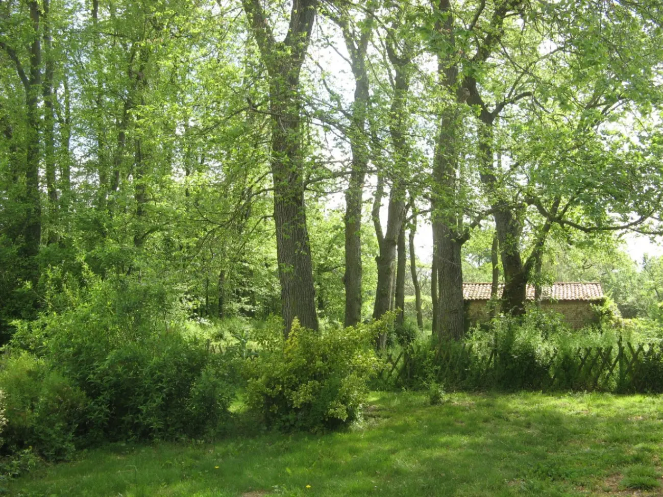 Gîte de Palosse, Mazères : image 5