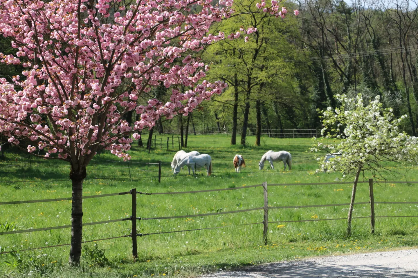 Gîte des Écuries, Contamine-Sarzin : image 5
