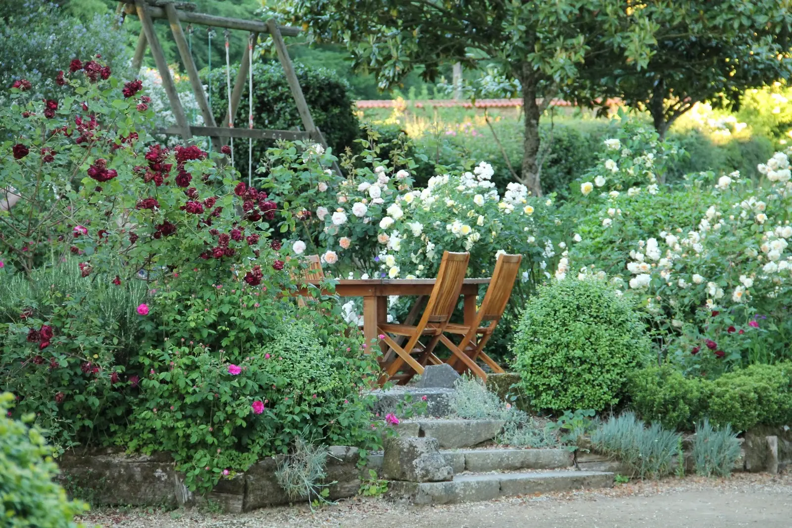 Gîte des Glycines, Le Pin : image 5