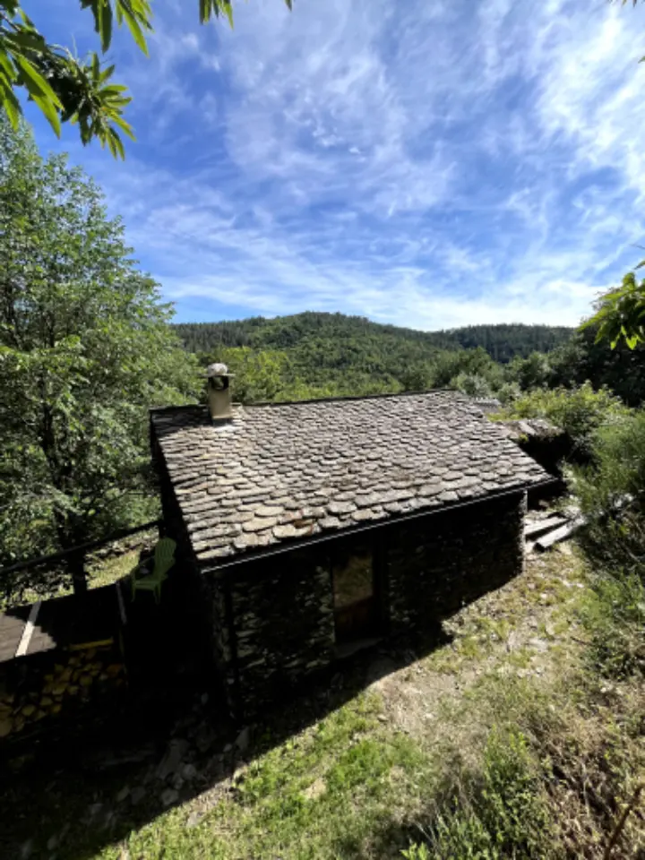 Gîte des Mourènes, Saint-André-de-Lancize : image 3