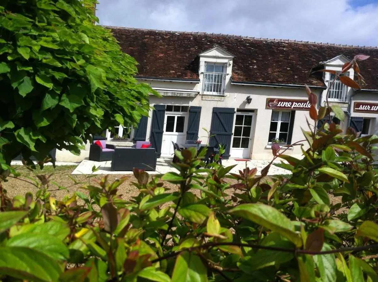 Gîte des Petites Poules Rousses (gîte à la ferme), Choussy