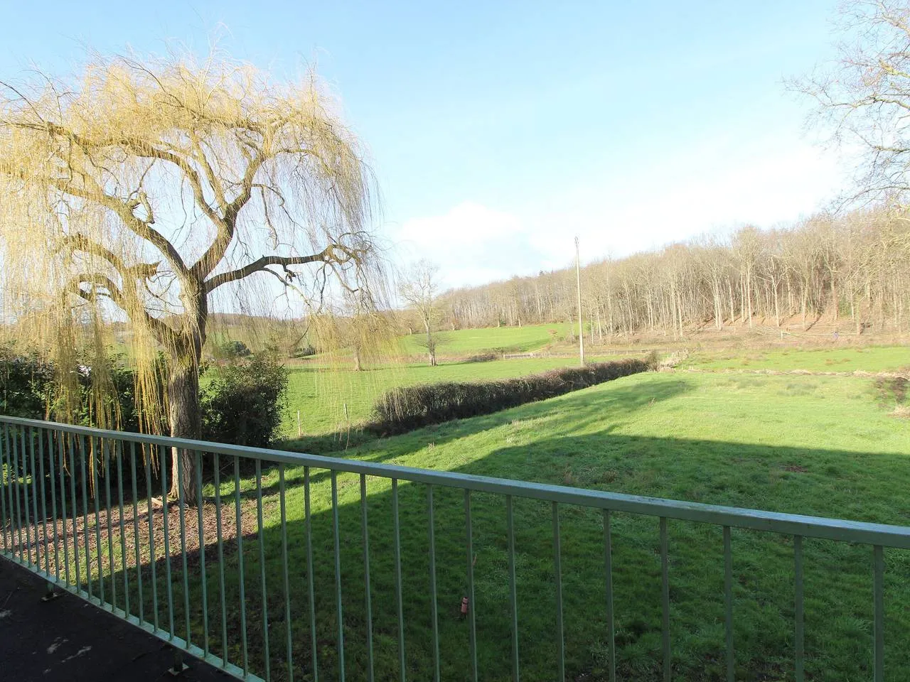 Gîte de l'Angelière, Bellevigne-en-Layon : image 5