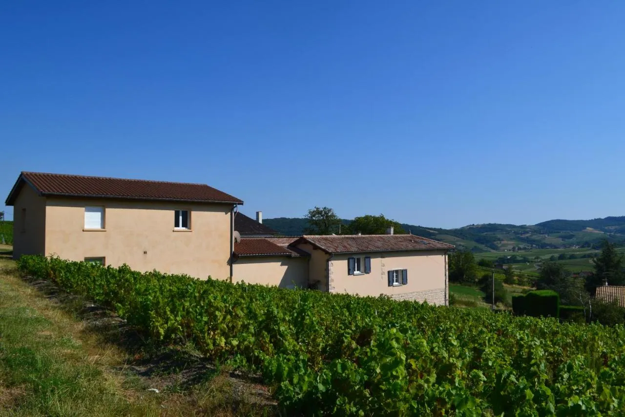 Domaine de la Milleranche, Jullié : image 5
