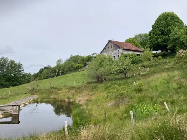 Gîte du Draimont, Fresse-sur-Moselle : image 3