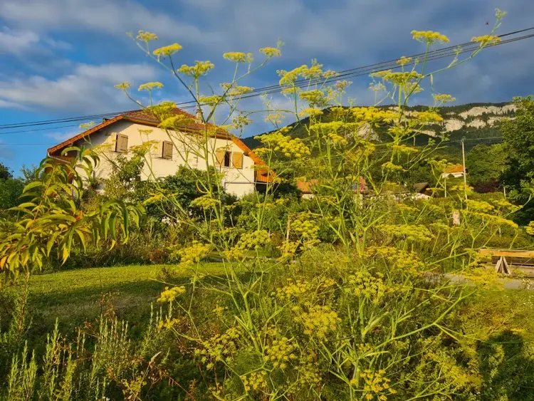 Gîte du Jardin de Max et Nana (gîte à la ferme), Saint-Offenge