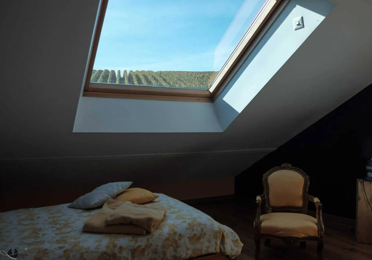 Gîte L'Écurie, Pierry : image 5
